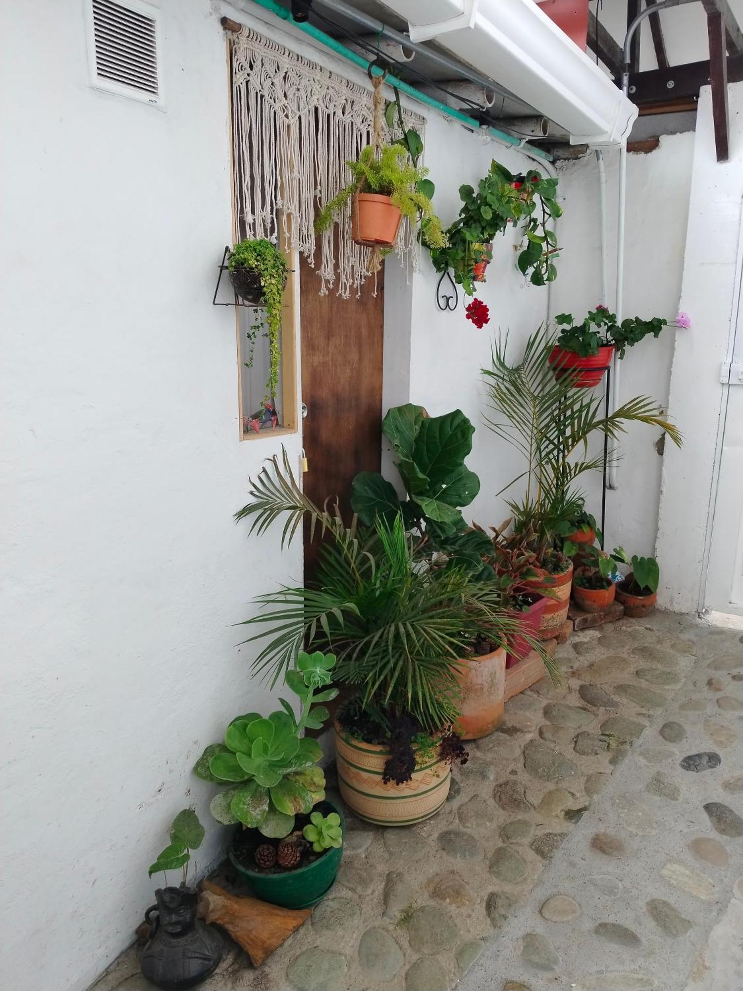 Apartaestudios La Baranda Salento Exterior foto